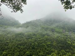 -蝶舞清江·恩施地心谷景区
