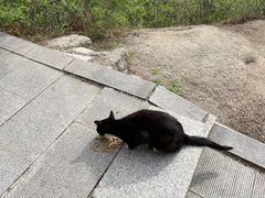 -北京凤凰岭