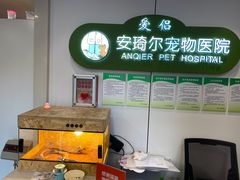 -爱侣·安琦尔宠物医院·中兽医针灸·心内科·狂犬免疫点(宝山区院)