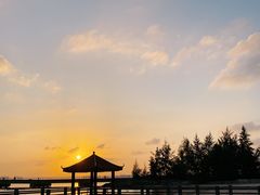-东郊椰林