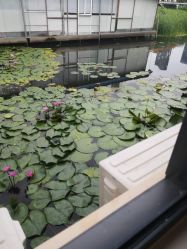 -爱帝宫通乳中心(福田总院)