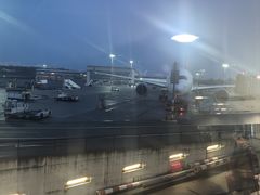 -米兰马尔彭萨国际机场