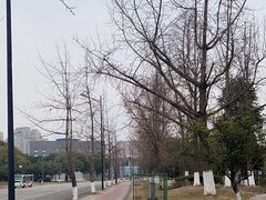 -四川大学(江安校区)