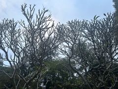 -云溪植物园