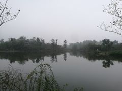 -重庆彩云湖湿地公园