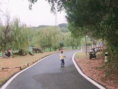 -张公山寨景区