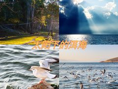 -大理洱海