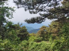 -鲁山国家森林公园