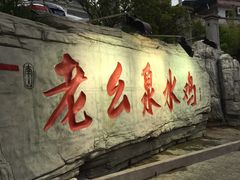 -老幺泉水鸡