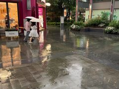 -麦当劳(金桥店)