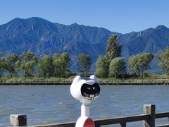 -野鸭湖国家湿地公园