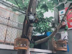 -大海别墅民宿农家院(十渡店)