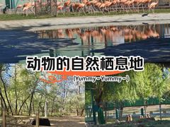 -秦皇岛野生动物园