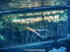 -成都浩海立方海洋公园