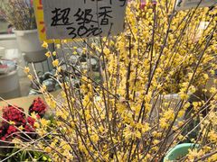 -循礼门鲜花花市(武汉循礼门店)