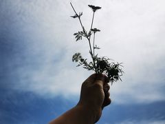 -梁子湖东篱老屋生态庄园