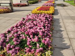 -无锡市市民中心