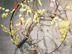 -呷哺呷哺 小火锅 (浦东新欧尚超市店)