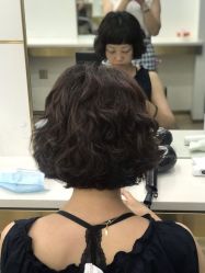 -YESIDO椰岛造型