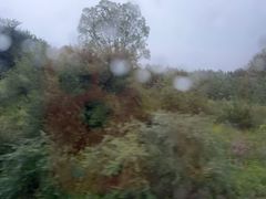 -雁门关景区