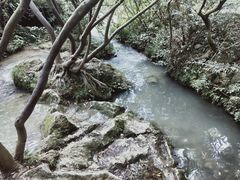 -花溪公园