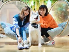 -Husky Go! 哈士奇体验馆·宠物咖啡厅狗咖