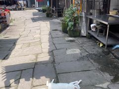 -涞滩古镇