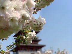 -古柏渡飞黄旅游区