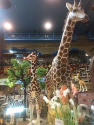 -卡通尼·Safari非洲探索乐园·生日会(金桥国际商业广场店)