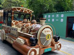 -深圳野生动物园