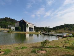 -东莞植物园