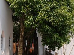 -帐篷客·溪龙茶谷度假酒店