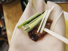 -守柴炉烤鸭(中海国际店)