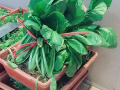 -粥全粥到海鲜家常菜·海肠捞饭(嫩江路店)