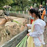 广州动物园20元门票，超抵，还要什么长隆野生动物园！