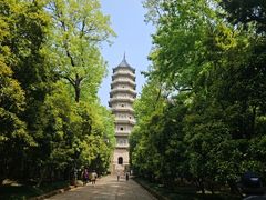 -灵谷景区