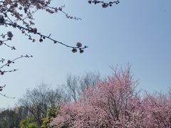 -白塘生态植物园
