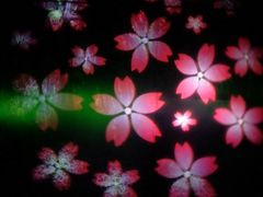 -淄博花灯齐彩城