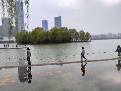 -天鹅湖体育公园