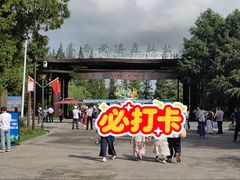 -黄海国家森林公园