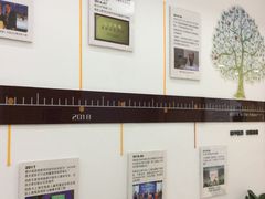 -上海大学附属上海和平眼科医院