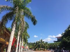 -呀诺达热带雨林
