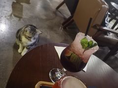 -咖法森林·咖啡  酒吧(天河店)