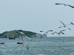 -银沙滩浴场