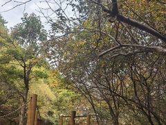 -吉林市朱雀山国家森林公园