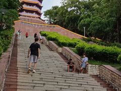 -福神岗公园