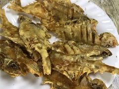 -林之六八·6886大连老菜馆