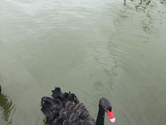 -呼兰河口湿地公园