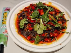 酸辣蕨根粉-新侨小馆(东直门北小街店)
