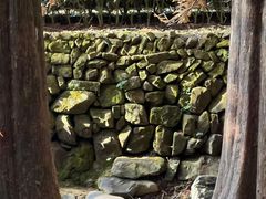 -十八棵（老龙井）御茶园(老龙井店)